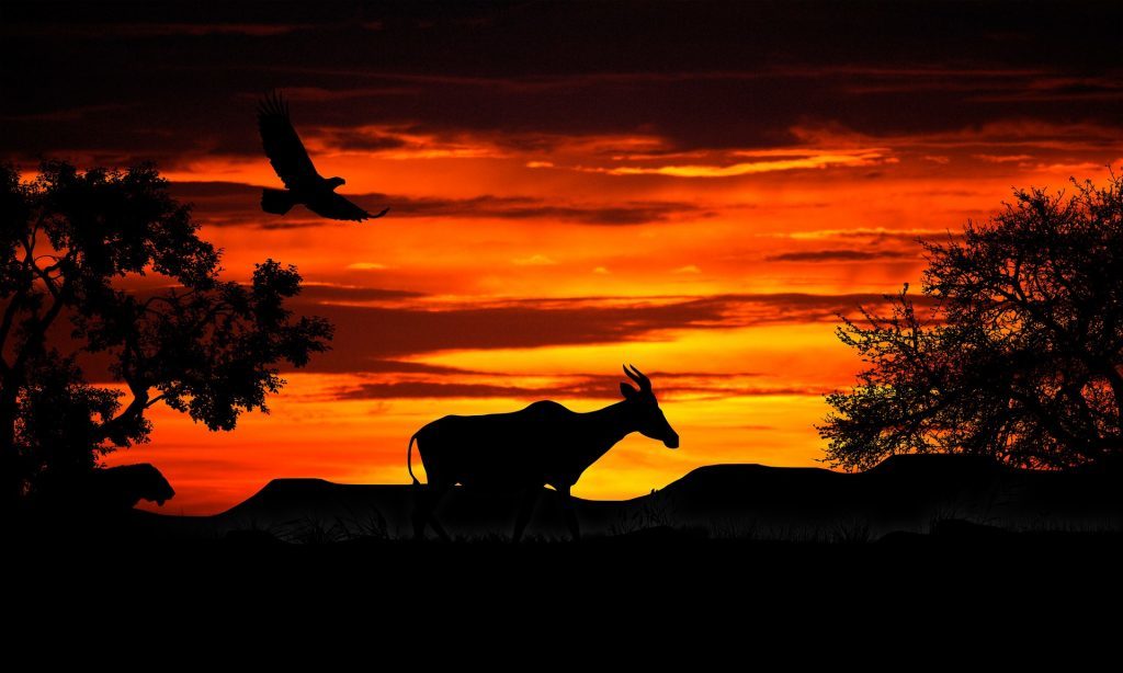 Vorsicht in der Abenddämmerung